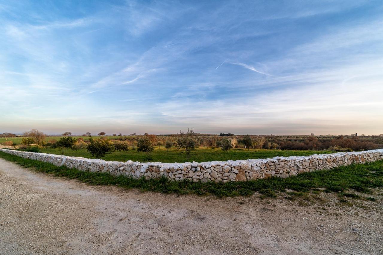 Agriturismo Tenuta Del Grillaio アックアヴィーヴァ・デッレ・フォンティ エクステリア 写真